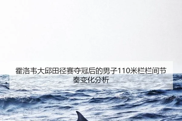 霍洛韦大邱田径赛夺冠后的男子110米栏栏间节奏变化分析